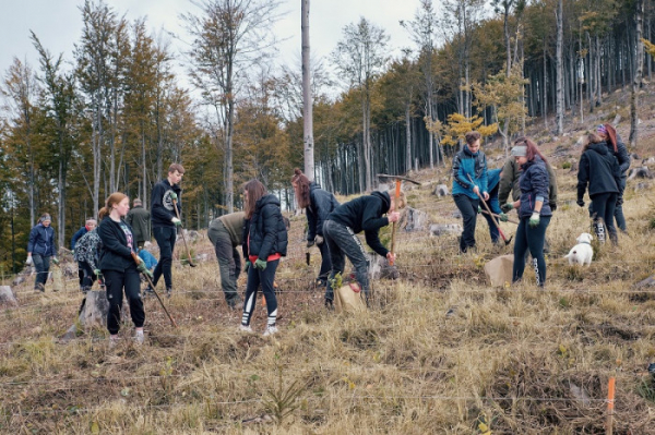Na Ondřejníku v Moravskoslezském kraji přibyly tři tisícovky nových stromků