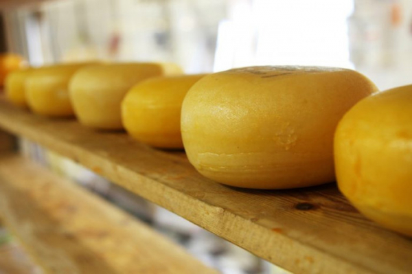 České obchodní inspekce provedla kontrolu ve specializovaných prodejnách sýrů