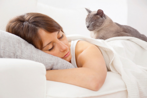 Kvalitní spánek vám zajistí vhodná postel a dostatečný přísun čerstvého vzduchu