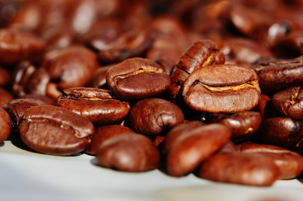 Kvalita kávy: Rozdíl, který musíte znát